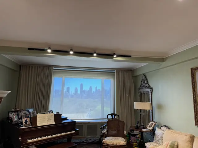 Track lighting in a living room facing the park