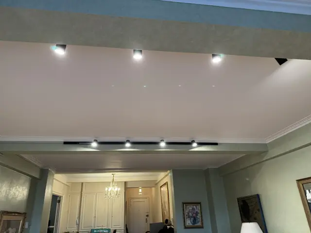 Recessed and track lighting in a classic living room